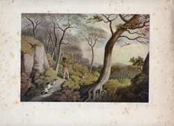 Fox hunting, polo and other horse prints